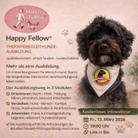 Infowebinar Therapiebegleithunde-Ausbildung