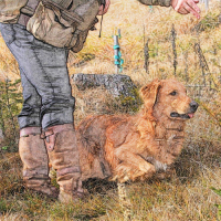 Happy-Fellow® DummytrainerInnen Lehrgang 2026