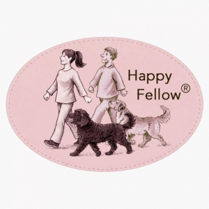 Orientierungsgespräch