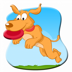 Dummytraining mit Dummylauncher Air